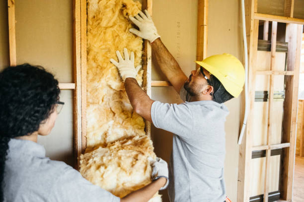 Types of Insulation We Offer in Alexandria, MN